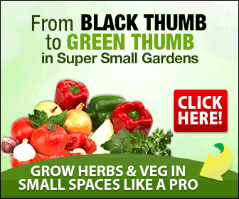 How To Grow Herbs And Vegetables In Small Spaces